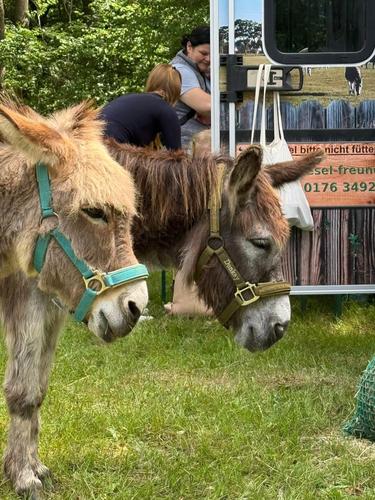 Kindertagsfest in der Siedlung